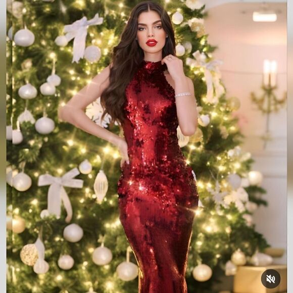 NWT ZARA  LONG SEQUIN RED DRESS  - Picture 1 of 13